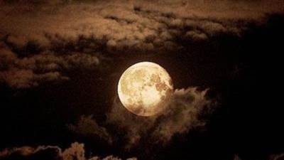 الجمعية الفلكية: القمر سيشرق عند الظهر بالتوقيت المحلي..وسيصل أعلى نقطة فى السماء