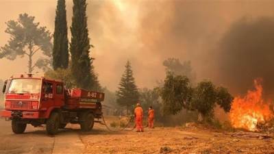 لماذا تلتهم النيران غابات العالم؟.. تعرف على الأسباب