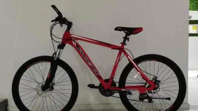 الشباب والرياضة تستعد لإطلاق الدفعة الثالثة من المرحلة الثالثة لمبادرة "دراجتك..صحتك" 