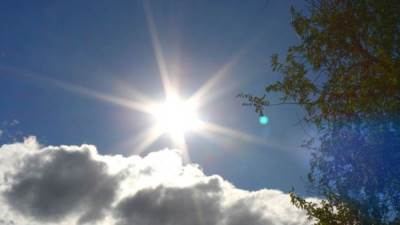 الأرصاد: هواء رطب على القاهرة الكبرى.. شديد الحرارة على جنوب البلاد