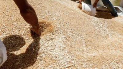 سوريا تشدد القيود على الواردات لتوفير الدولارات الشحيحة للقمح