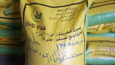 الزراعه :قطاع الانتاج يستكمل منظومة إنتاج تقاوى المحاصيل الاستراتيجية