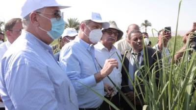 البنك الزراعي المصري يطلق مبادرة لتمويل تكاليف إنشاء حقول استرشادية للري الحديث بمحافظات الصعيد