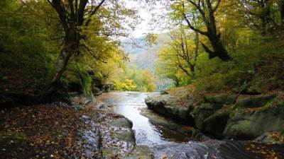 معهد الفلك: 22 سبتمبر ذروة الاعتدال الخريفى.. ومدته 89 يوما