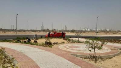 رئيس الجهاز: تكثيف أعمال صيانة المسطحات الخضراء والمزروعات بمداخل مدينة الشروق