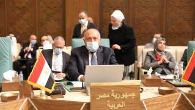 "مواقف مصر" في كلمة "شكري" أمام الدورة 156 لمجلس جامعة الدول العربية