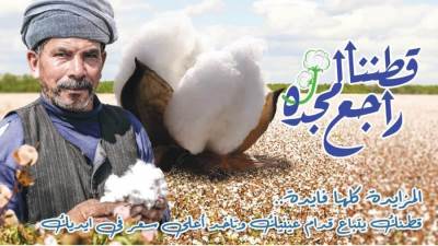 "قطاع الأعمال": فتح بعض مراكز تجميع الأقطان بوجه بحري..واول مزاد 16 سبتمبر