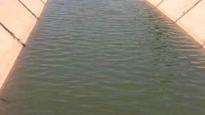 الرى تنتهي من تأهيل ترع باطوال تصل الى ٢٦٣٦ كيلومتر بمختلف المحافظات