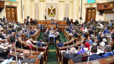 مجلس النواب يوافق على تشكيل المجلس القومى لحقوق الإنسان 