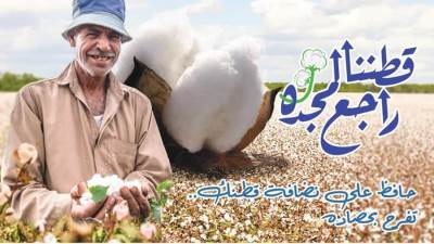 قطاع الأعمال: بيع 218.6 ألف قنطار بمزادات القطن لصالح 22 شركة