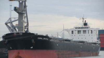 الإحصاء: ارتفاع نسبة التبادل التجاري بين مصر والمجر إلى 45.2%