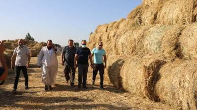 رئيس "شئون البيئة" يتفقد منظومة مكافحة تلوث الهواء الحادة بمحافظتى الشرقية والدقهلية