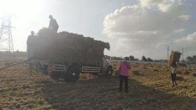 وزارة البيئة تواصل جهودها للحد من نوبات تلوث الهواء الحادة