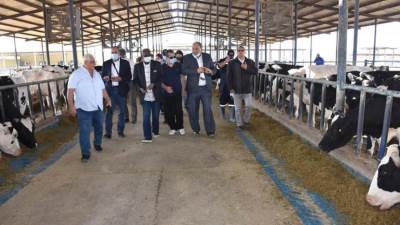 الزراعة: وفد المجلس التنفيذى للايفاد يتفقد المشروعات المشتركة بين مصر والمنظمة الدولية