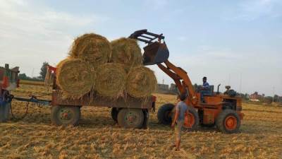 وزيرة البيئة: إجراءات قانونية تجاه ١٢ مزارع قام بحرق قش الأرز 