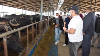 "التعاون الدولي"و"الزراعة"و"الصندوق الدولي للتنمية الزراعية"يتفقدون عددًا من المشروعات التنموية في بعض المحافظات