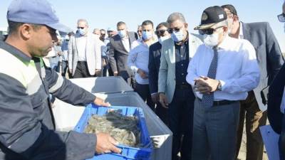 أسامة ربيع يتفقد معدية الأفراد بالقنطرة غرب وشركة قناة السويس للاستزراع المائي