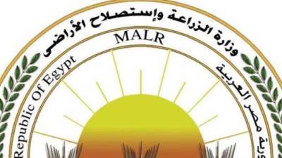 وزارة الزراعة توضح حقيقة نقص السلع والمنتجات الزراعية بمختلف الأسواق في الجمهورية