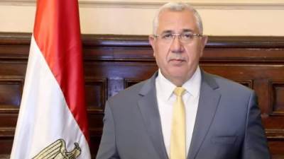 وزير الزراعة يعلن فتح الأسواق الصينية أمام الرمان المصري