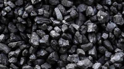 39مليون و304 ألف دولار قيمة الواردات المصرية من الفحم بأنواعه في اغسطس