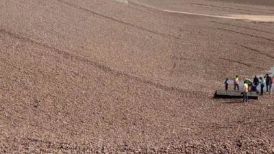 وزارة البيئة تسلم خلية دفن جديدة بمدفن أبي داوود بالمنوفية