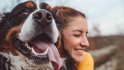 "بورينا"تبدأ باستقبال طلبات المشاركة في النسخة الثالثة من برنامج مختبر مسرّع الأعمال"أنليشد"