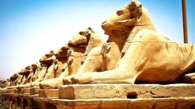 صحف العالم: مصر تبهر البشرية من جديد باحتفالية طريق الكباش