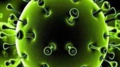 الصحة: ارتفاع نسبة الشفاء من كورونا بمستشفيات العزل ل84.4%