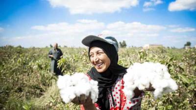 إنفوجراف.. مصر تطور القطن وتحيي صناعة الغزل والنسيج لاستعادة عرش "الذهب الأبيض" عالميًا