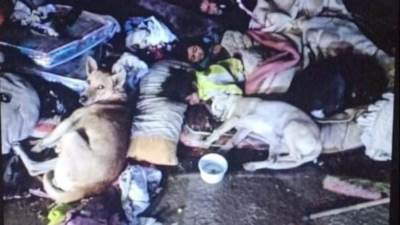 فريق أطفال وكبار بلامأوي ينقذ أسرة "المعادي" .. ويوفر شقة سكنية لها