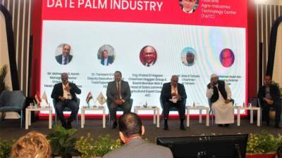 نخيل التمر المصري يستحوذ على اهتمامات "فوود أفريكا".. ماذا قالوا؟