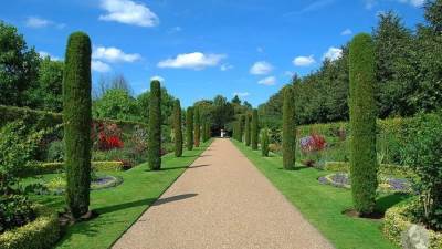 ليست كل الحدائق خضراء.. كيف تعيش حياتك بأسلوب أكثر استدامة؟