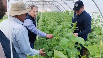 القصير يكلف وفد علمي بتفقد الهجن الجديدة لإنتاج تقاوي الخضر في سوهاج