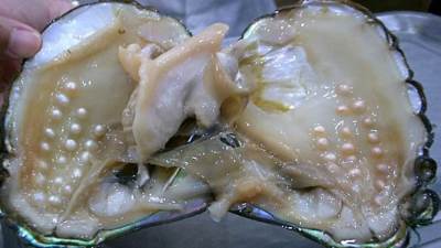 اللؤلؤ الطبيعي يتصدر الواردات الإماراتية من السعودية