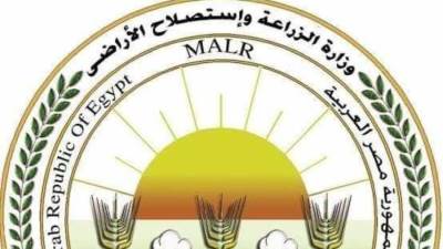 إنفوجراف | شاهد حصاد "الزراعة في كل مصر" 2021