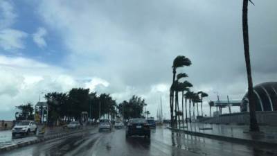 في أول أيام 2022 ..تعطيل الدراسة بكفر الشيخ بسبب الطقس السيئ