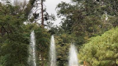 وزارة الرى تواصل تطوير الحدائق التابعة لها بالقناطر الخيرية