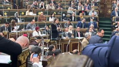 تفاصيل جلسة وزيرة التخطيط والتنمية الاقتصادية أمام مجلس النواب