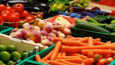 بالمستندات: «الحجر الزراعى» يضلل وزير الزراعة ومجلس الوزراء بأرقام وهمية للصادرات الزراعية