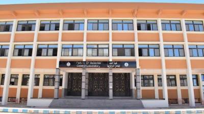 بالأرقام.. تعرف على مشاريع التعليم العالي في سيناء