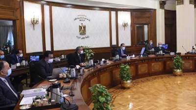 مجلس الوزراء يوافق على إعادة تنظيم محطة الزهراء لتربية الخيول العربية الأصيلة