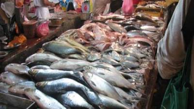 تعرف على أسعار الأسماك في السوق المصري اليوم 31-1-2022