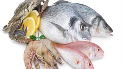 تعرف على أسعار الأسماك في السوق المصري اليوم 1-2-2022