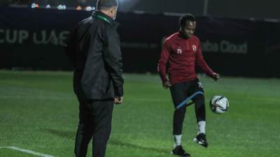 بيرسي تاو يبدأ مرحلة جديدة من التأهيل