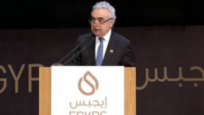 فاتح بيرول يعلن انضمام مصر رسميا كعضو بوكالة الطاقة الدولية