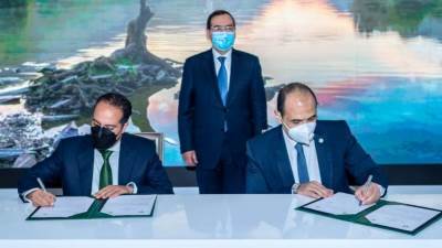 «البترول» و«بي بي» البريطانية توقعان اتفاقية لـ«إعداد وتأهيل القيادات الشابة»