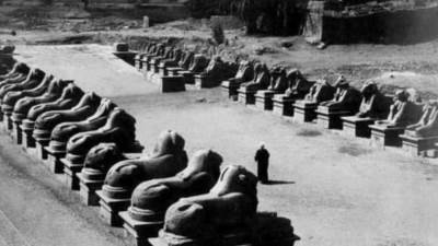 غدًا.. انطلاق فاعليات برنامج «ذاكرة بلدي» بالأقصر