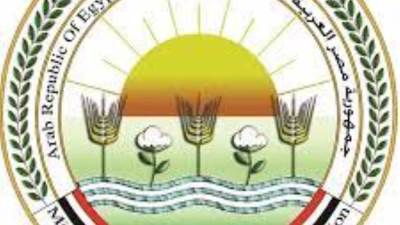 «إزالات» و«حملات على الأسواق».. تعرف على حصاد وزارة الزراعة في أسبوع