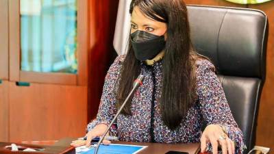 «المشاط» تجتمع ببعثة بنك الاستثمار الأوروبي لتعزيز العمل المناخي ومكافحة التلوث