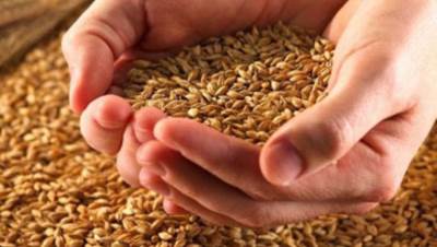 مصر: تأمين سفينة وادي العرب وخروجها محملة بشحنة القمح من أوكرانيا